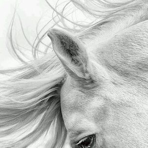 Meet your Posher, Jen